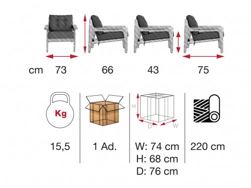 Caris Wooden Chair AGING / AGI 01