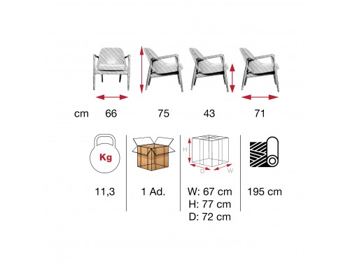 MARİOT / MRT 01